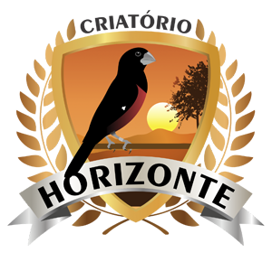 Vídeos | Criatório Horizonte Curió - Aparecida de Goiânia/GO